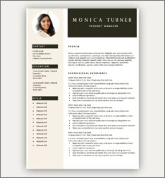 Experienced Professional Resume Template Free
