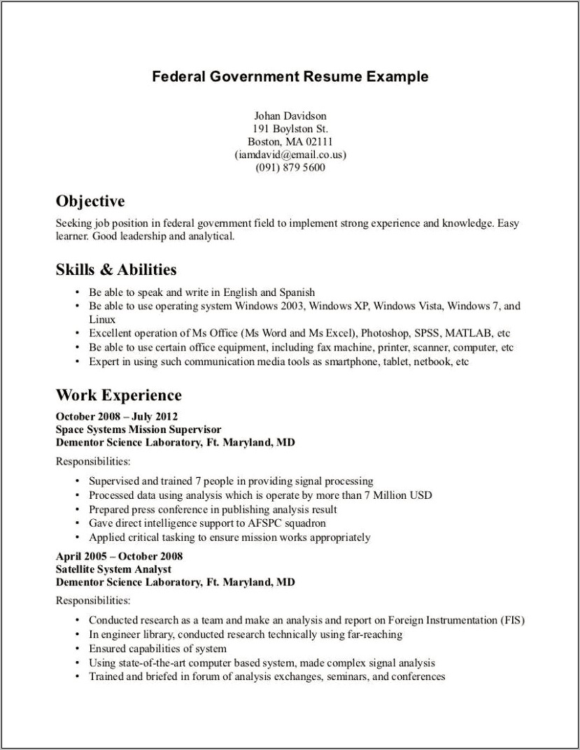Federal Job Application Resume Example