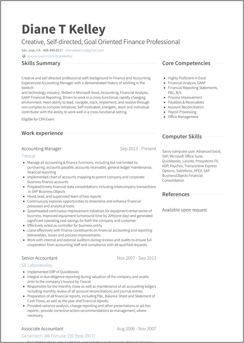 Finance Manager Resume Summary Examples