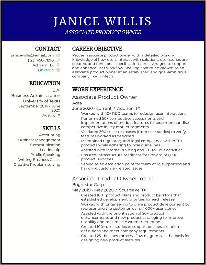 Former Business Owner Resume Example