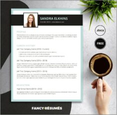 Free Contemporary Ndesign Resume Templates