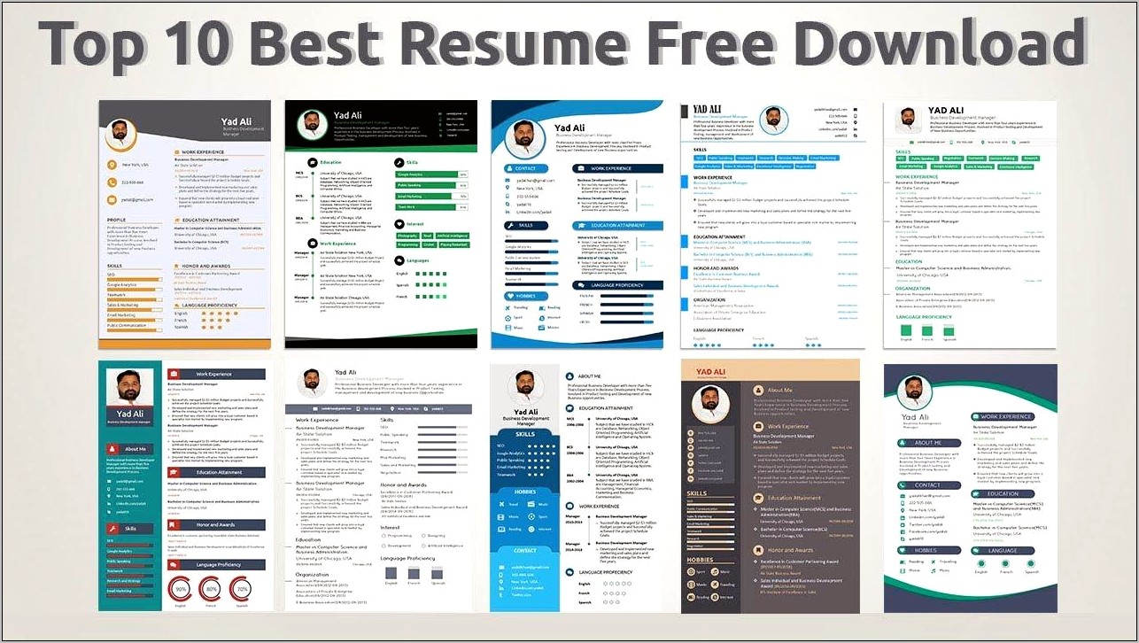 Free Professional Resume Templates 2019