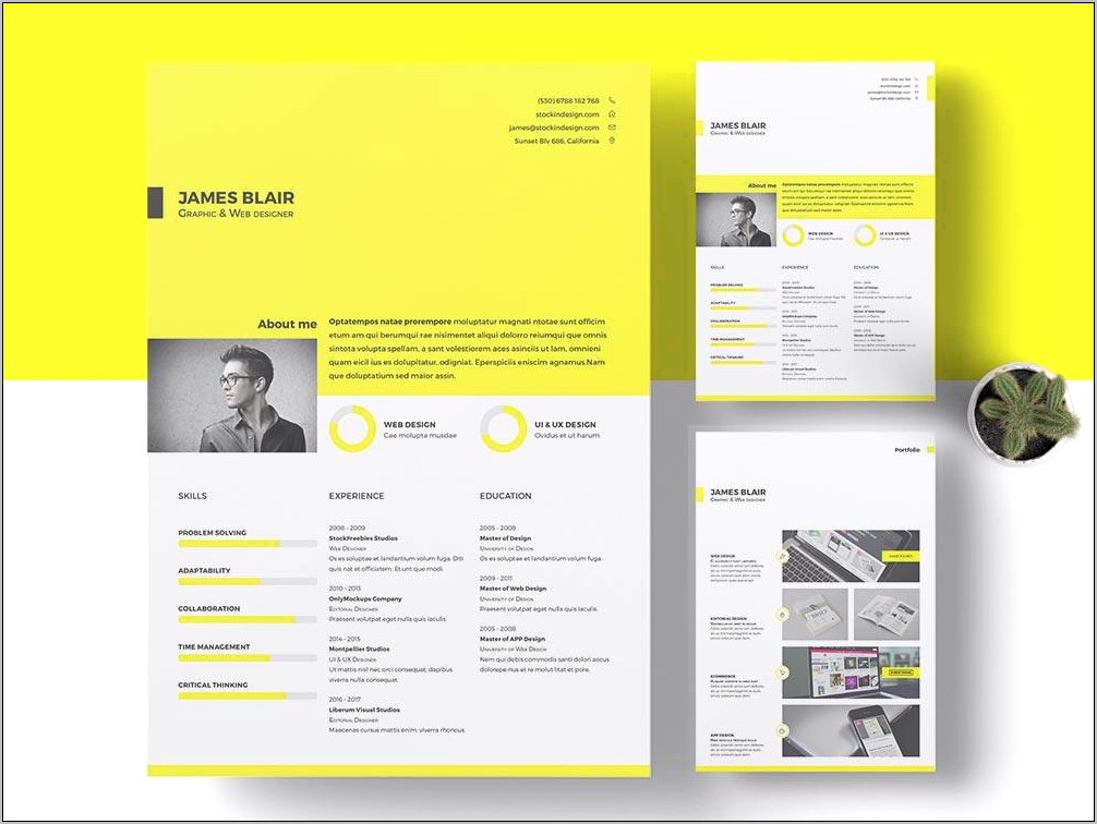 Free Resume Layout For Adobe