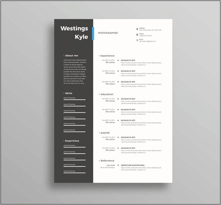 Free Word Professional Resume Template
