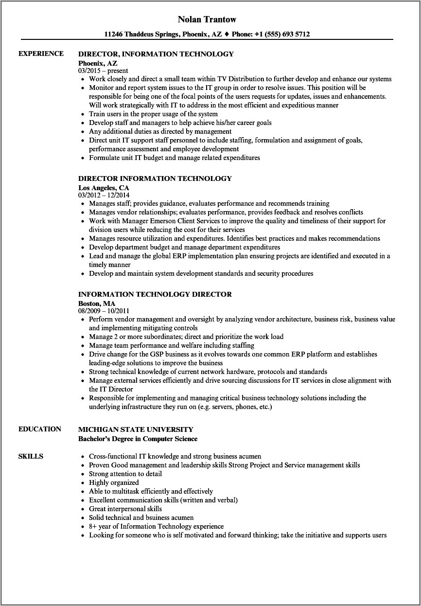 Functional Information Technology Resume Examples