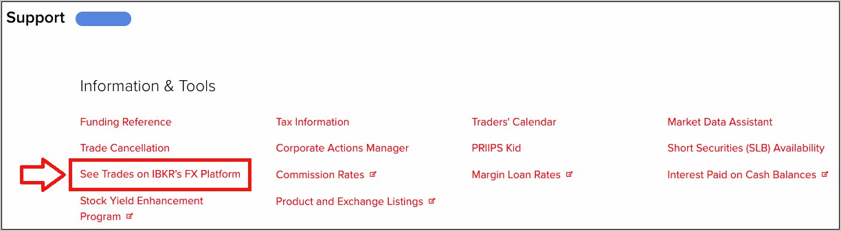 Fx Rates Trader Resume Example
