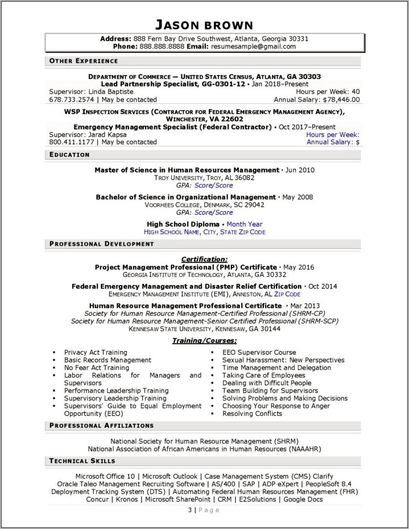 Government Resume With Hours Samples