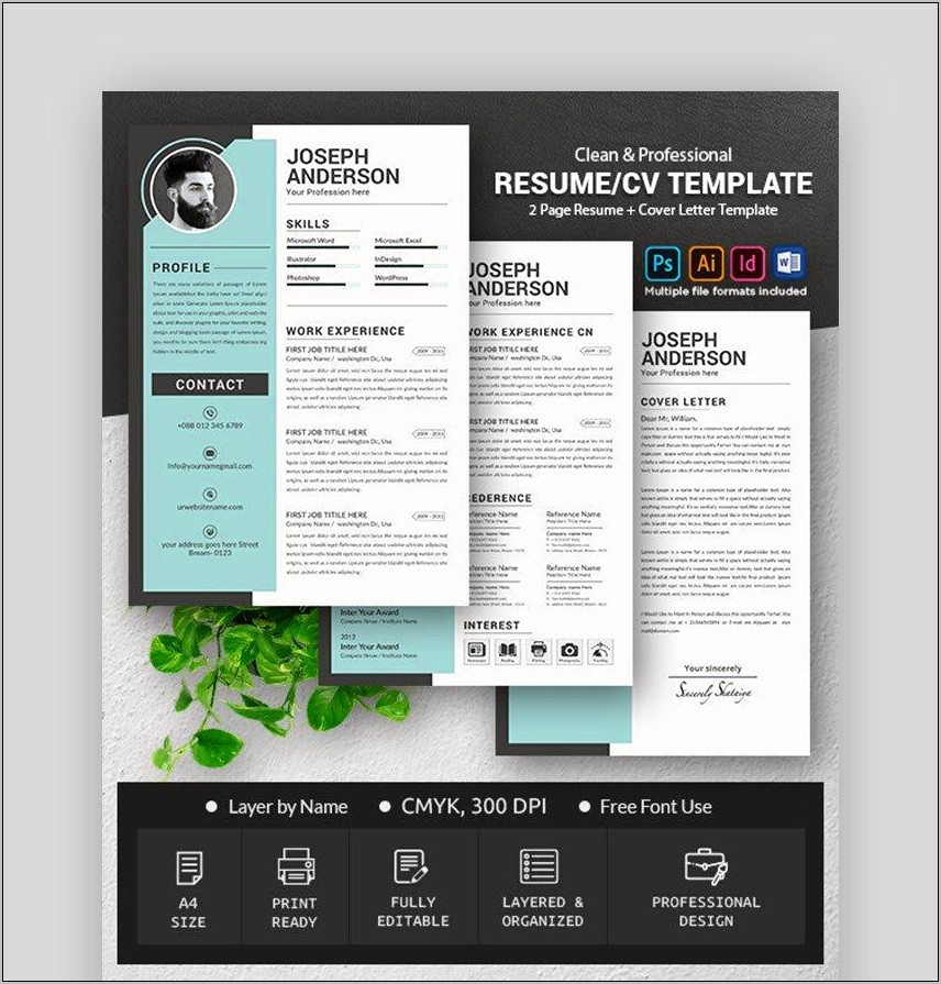Graphic Design Free Resume Template