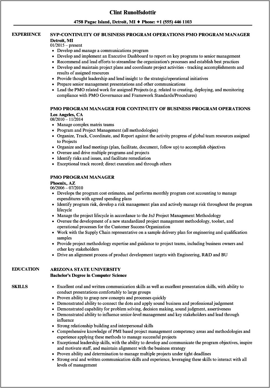 Great It Program Manager Resume