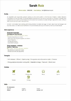 Hardworking Summary Examples For Resume