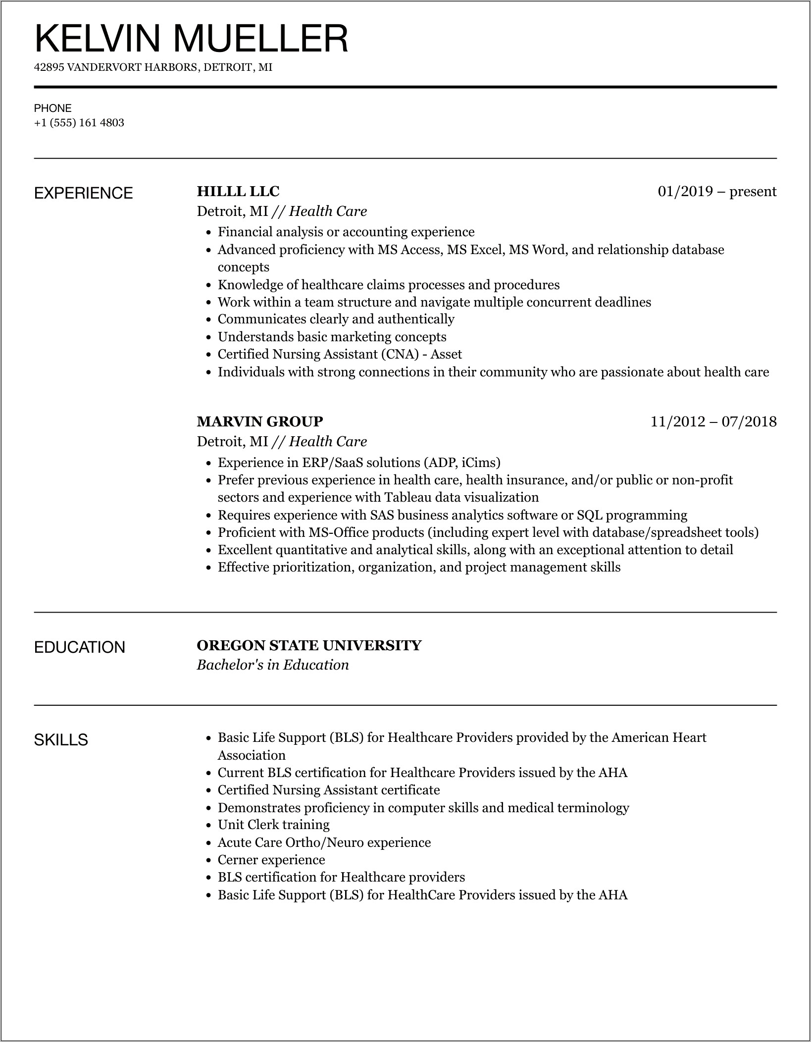Health Care Provider Resume Examples