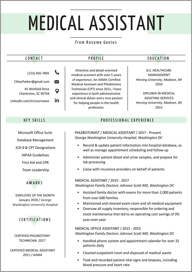 Healthcare Resume Profile Statement Example