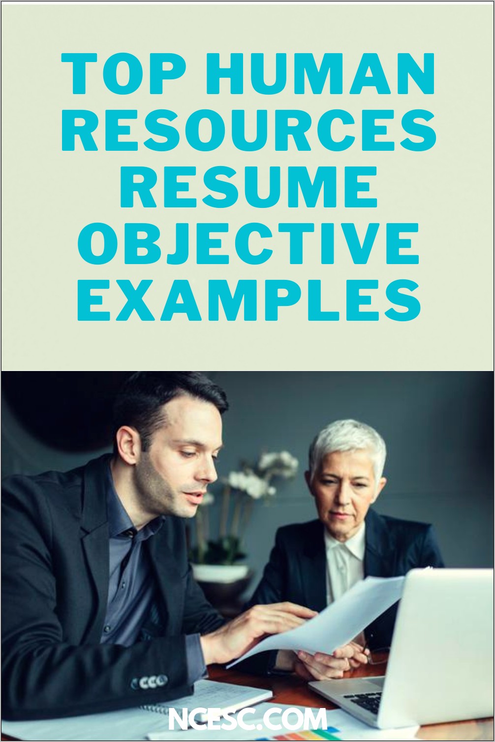 Human Resources Job Resume Objective