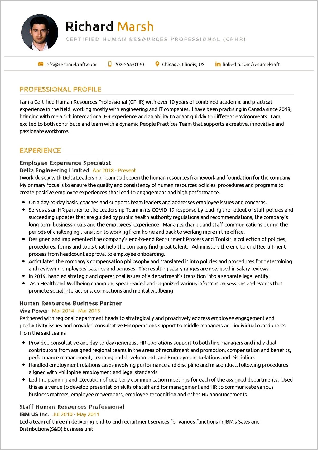 Human Resources Professional Resume Example