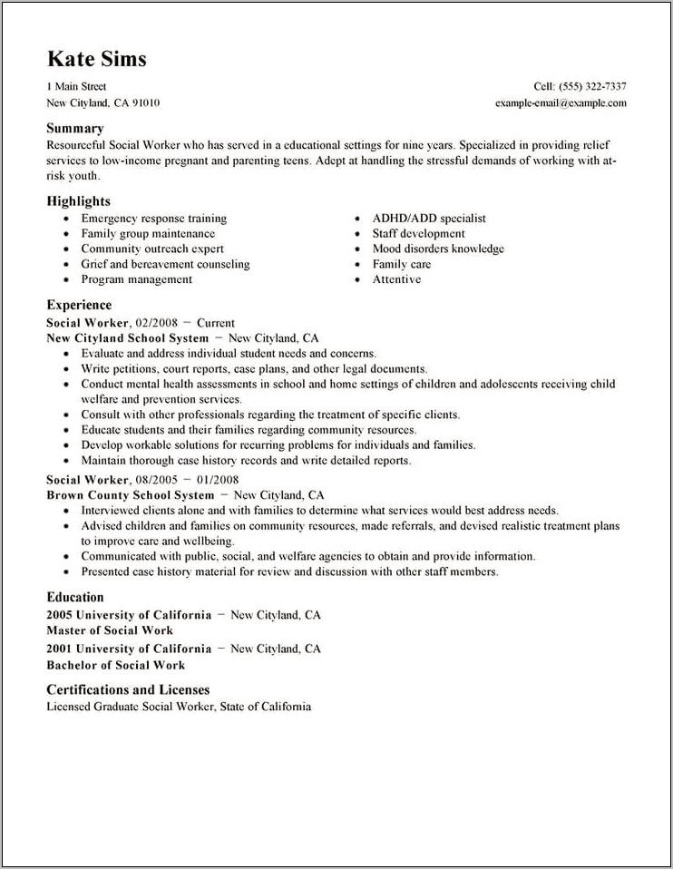 Human Services Resume Summary Examples