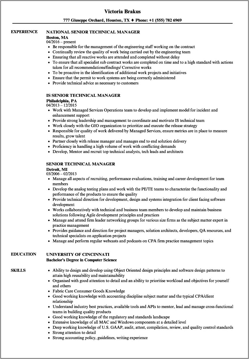 Informatino Technology Manager Resume Examples