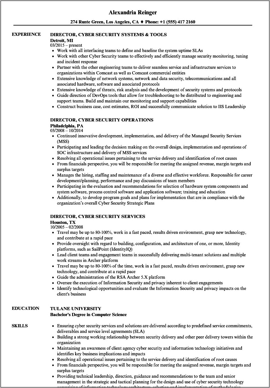 Information Security Director Resume Examples