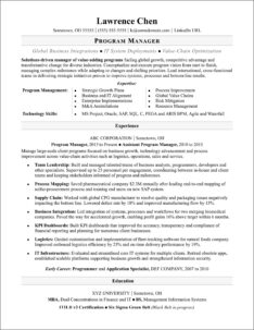 Information Technology Department Manager Resume