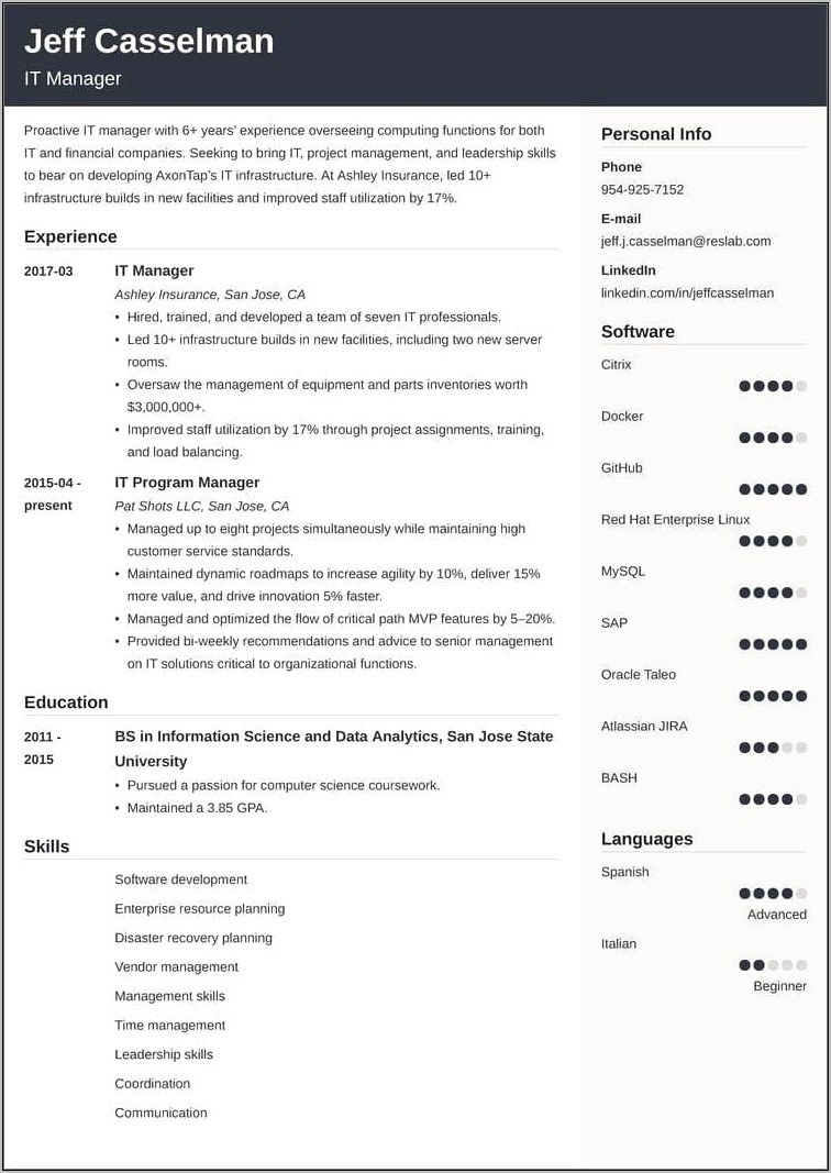 Information Technology Manager Resume Example