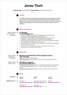 Information Technology Manager Resume Examples
