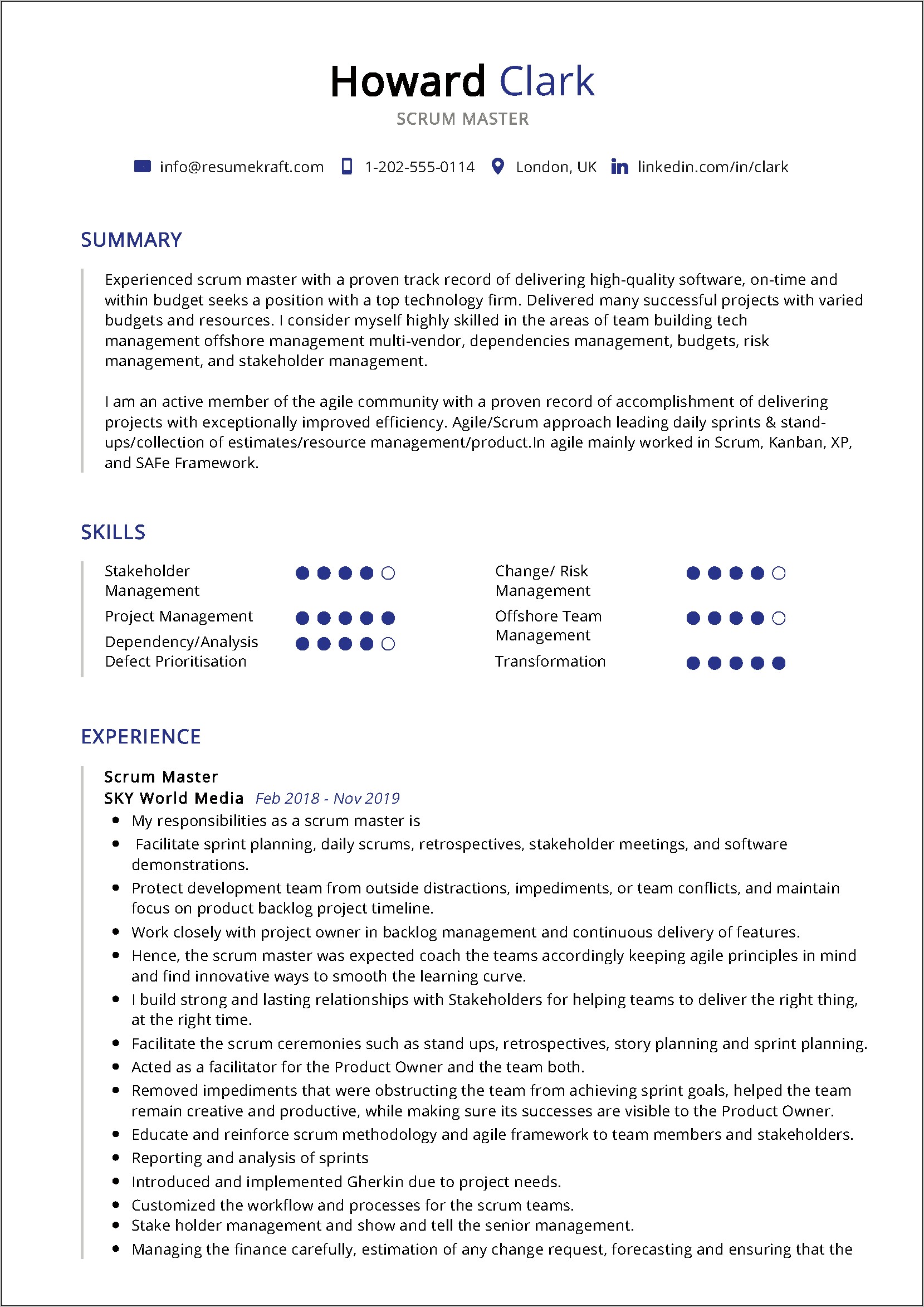 Information Technology Resume Examples Pdf