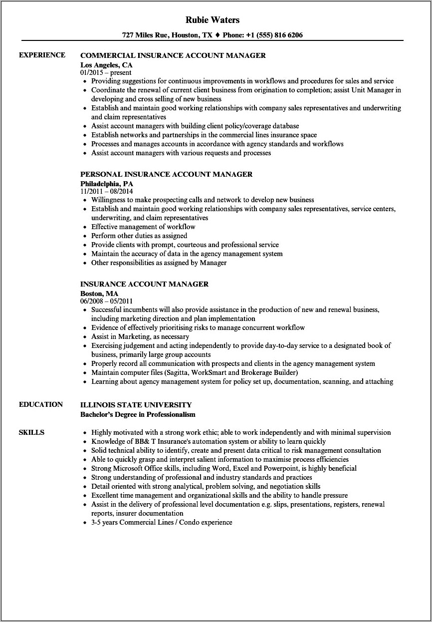 Insurance Account Manager Responsibilities Resume