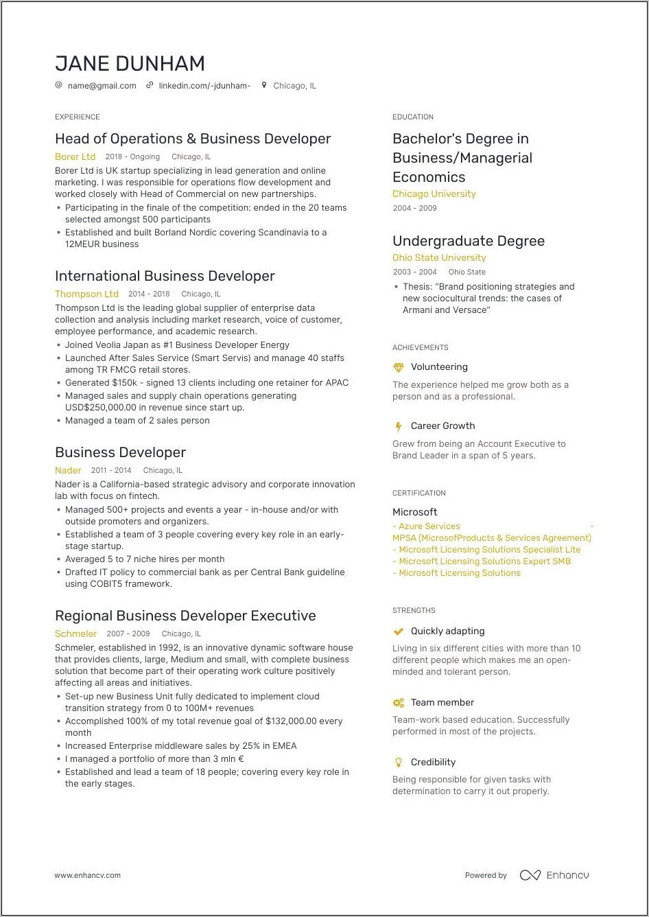 International Business Development Manager Resume