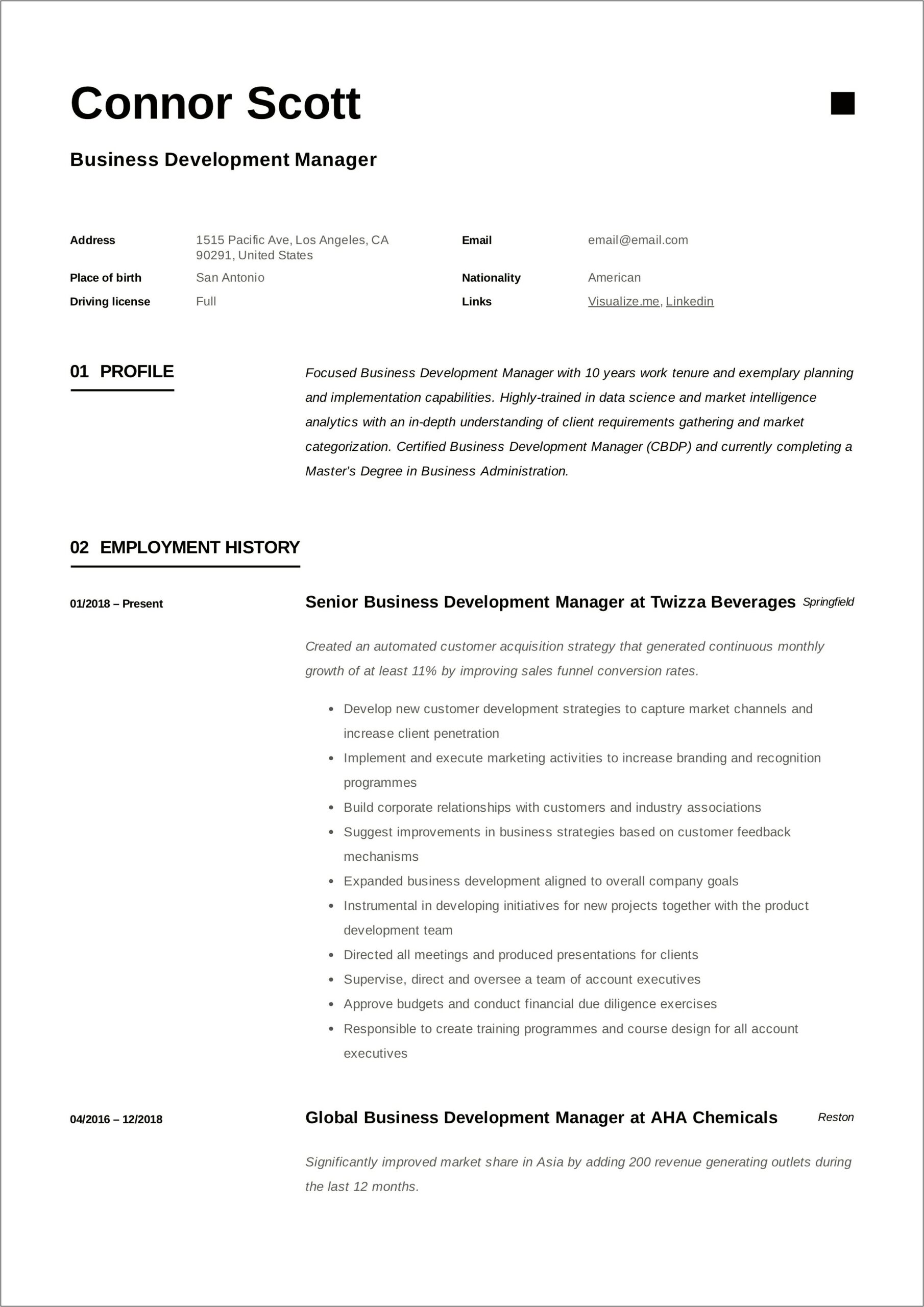 It Application Development Manager Resume