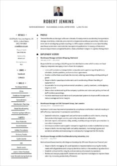 It Delivery Manager Resume Samples