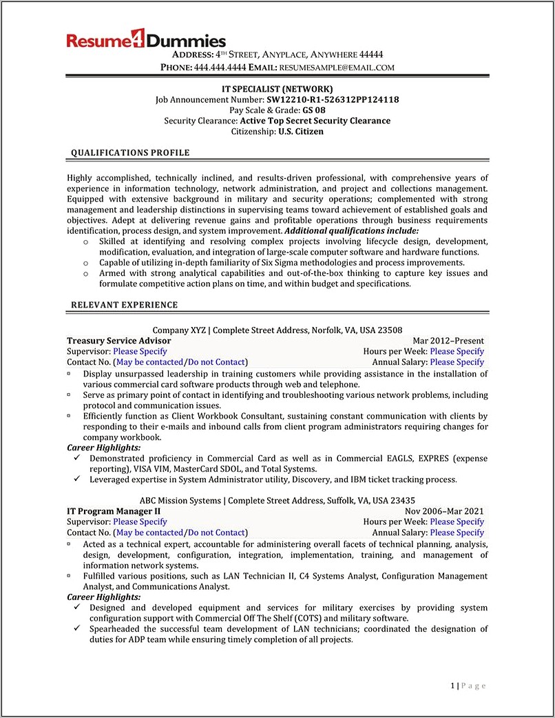 It Federal Government Resume Samples
