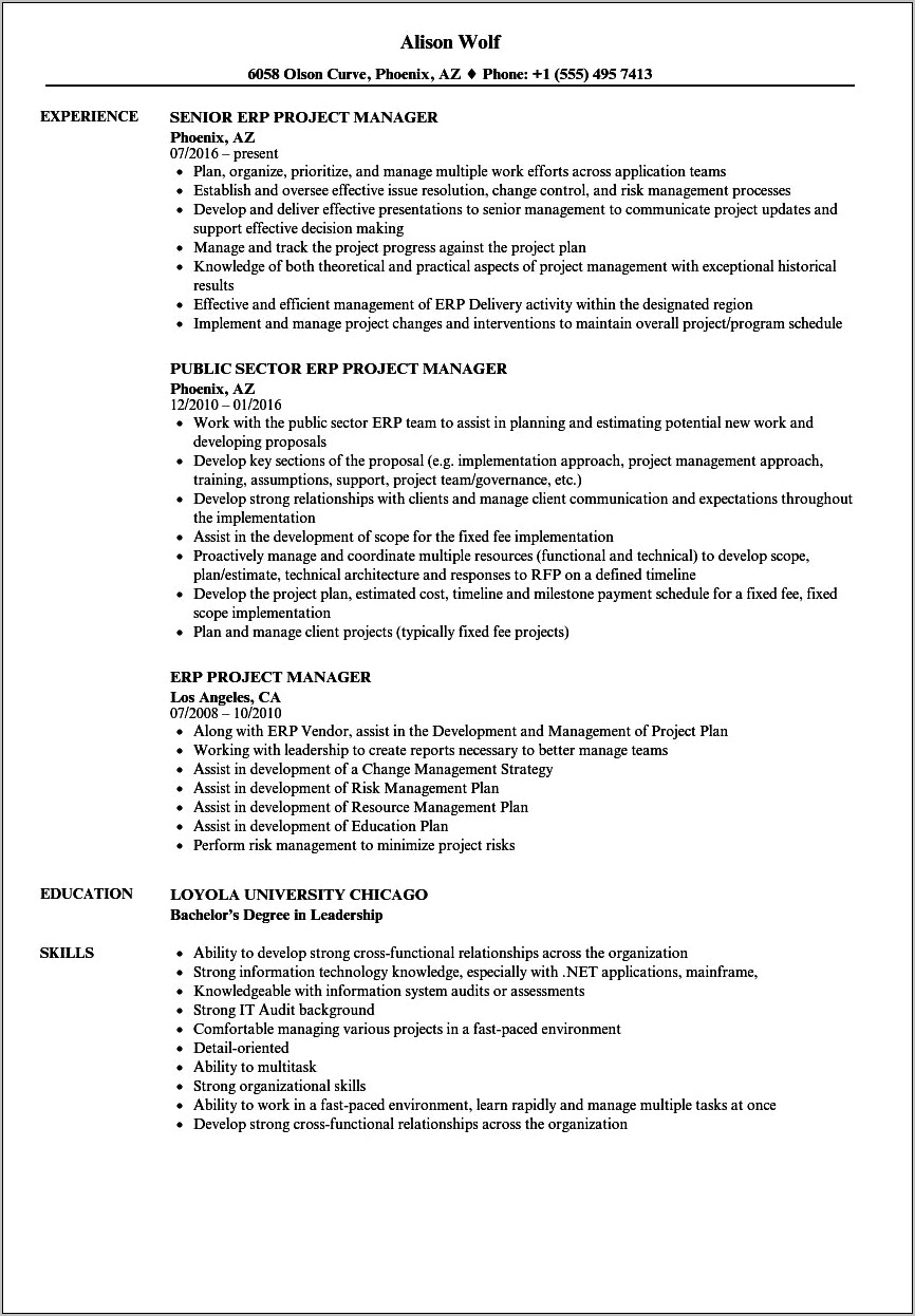It Project Manager Resume Vendor