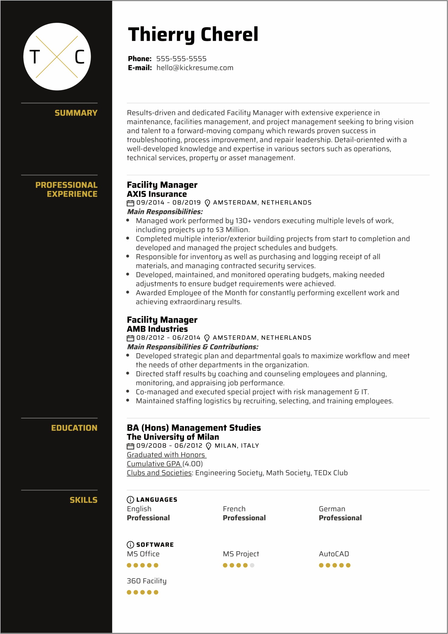 It Risk Management Resume Examples