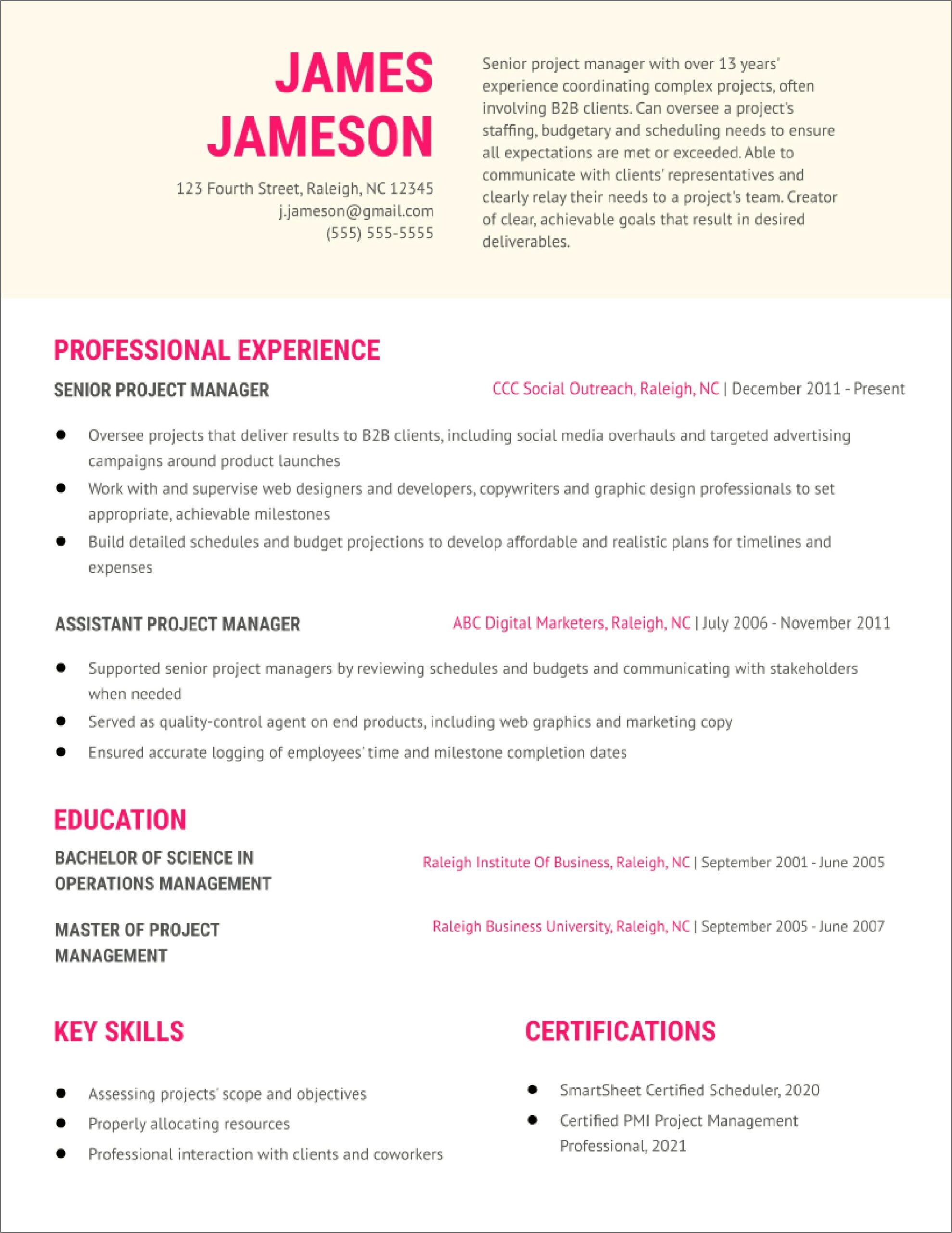 Junior Project Manager Resume Doc
