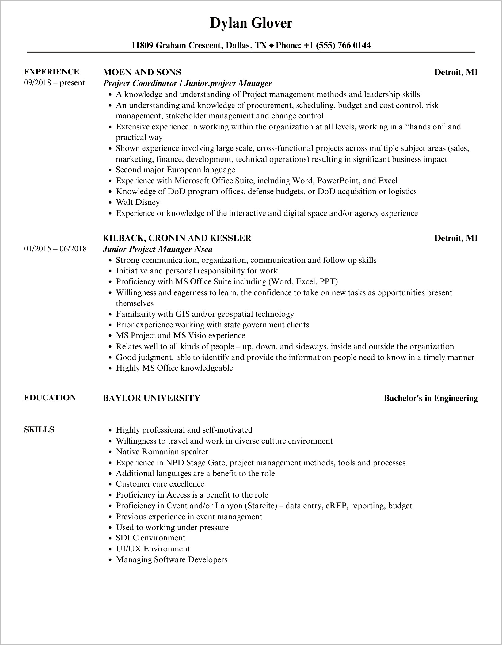 Junior Project Manager Resume Summary