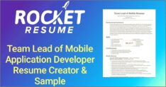Lead Application Developer Resume Sample