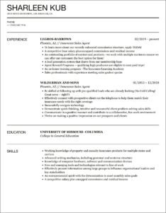 Life Insurance Agent Resume Examples