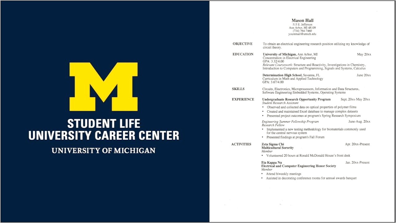 Michigan State University Sample Resume