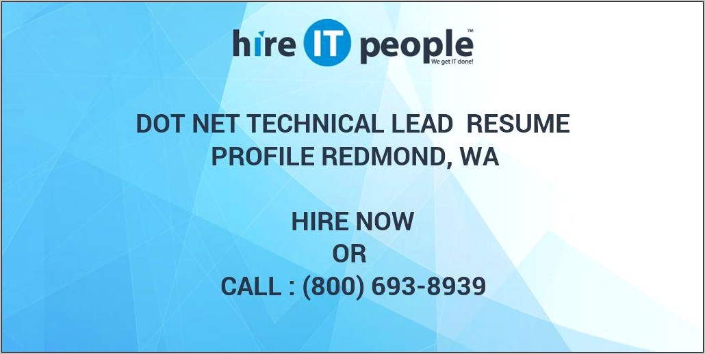 Net Tech Lead Resume Sample