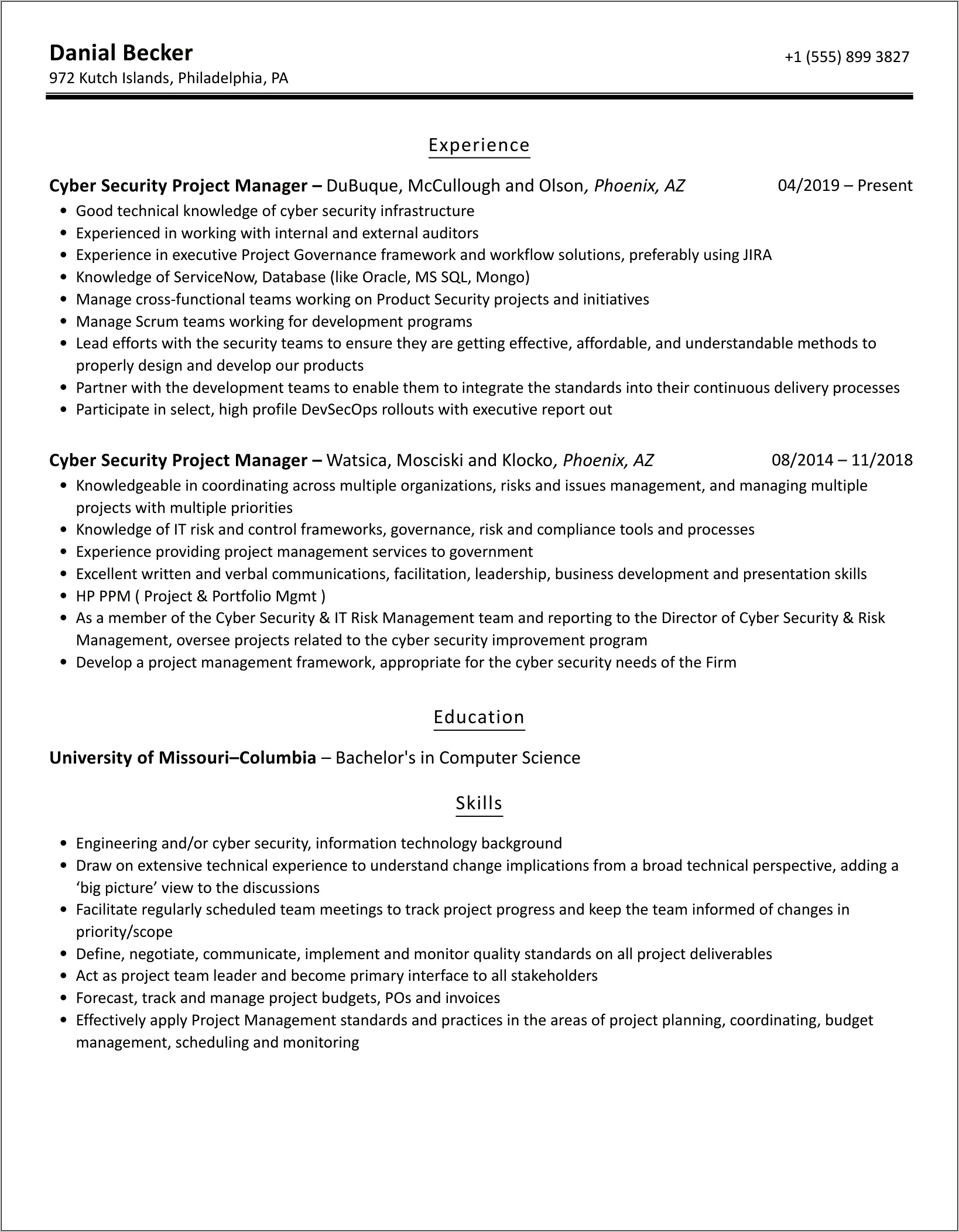 Network Security Manager Resume Sample