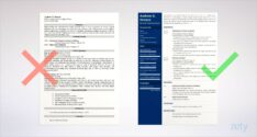 Personal Assistant Resume Templates Free