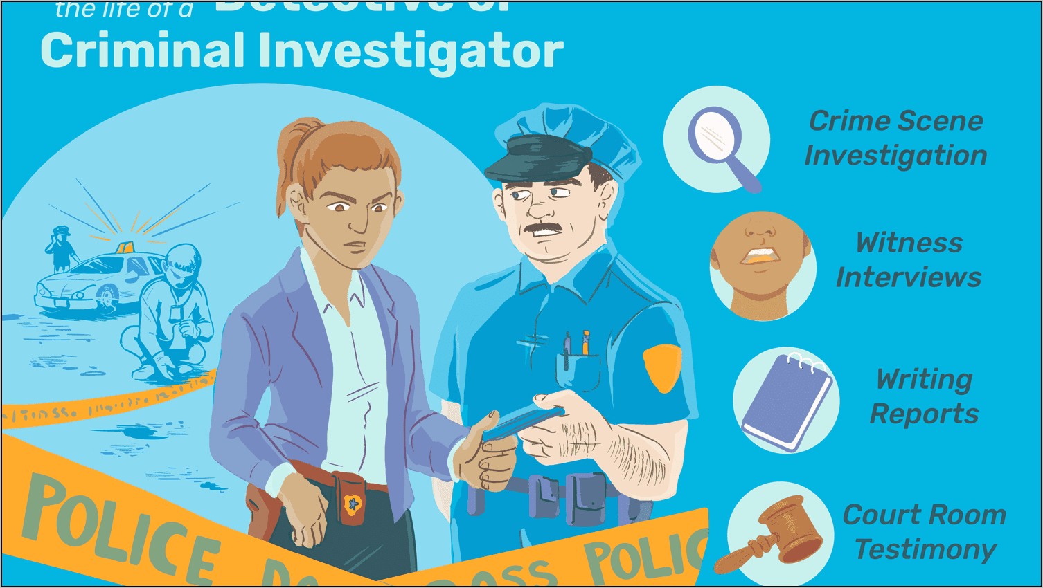 Police Investigative Resume Summary Examples