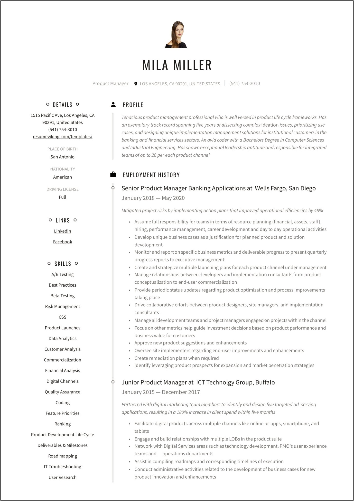 Product Manager Resume Summary Examples