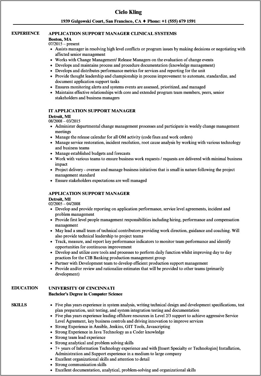 Production Support Lead Sample Resume