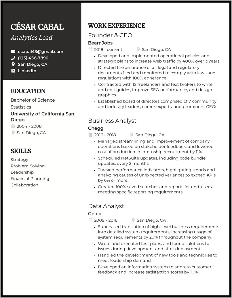 Professional Ceo President Resume Examples