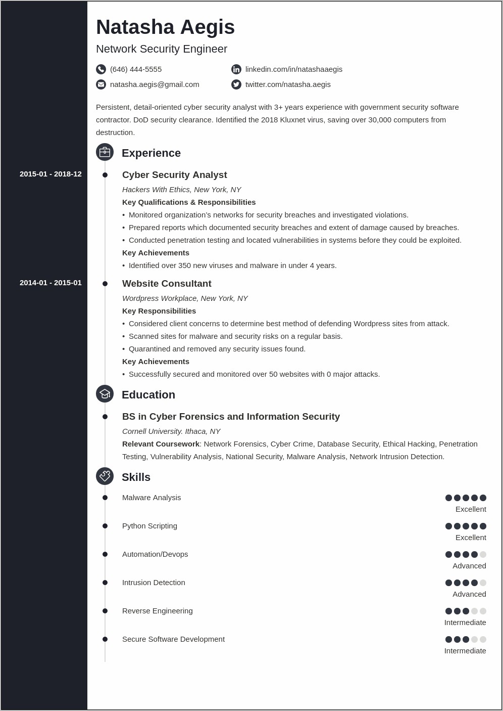 Professional Information Security Resumes Examples
