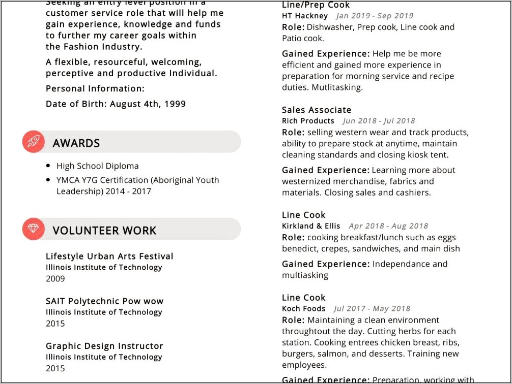 Professional Resume Examples Volunteer Work