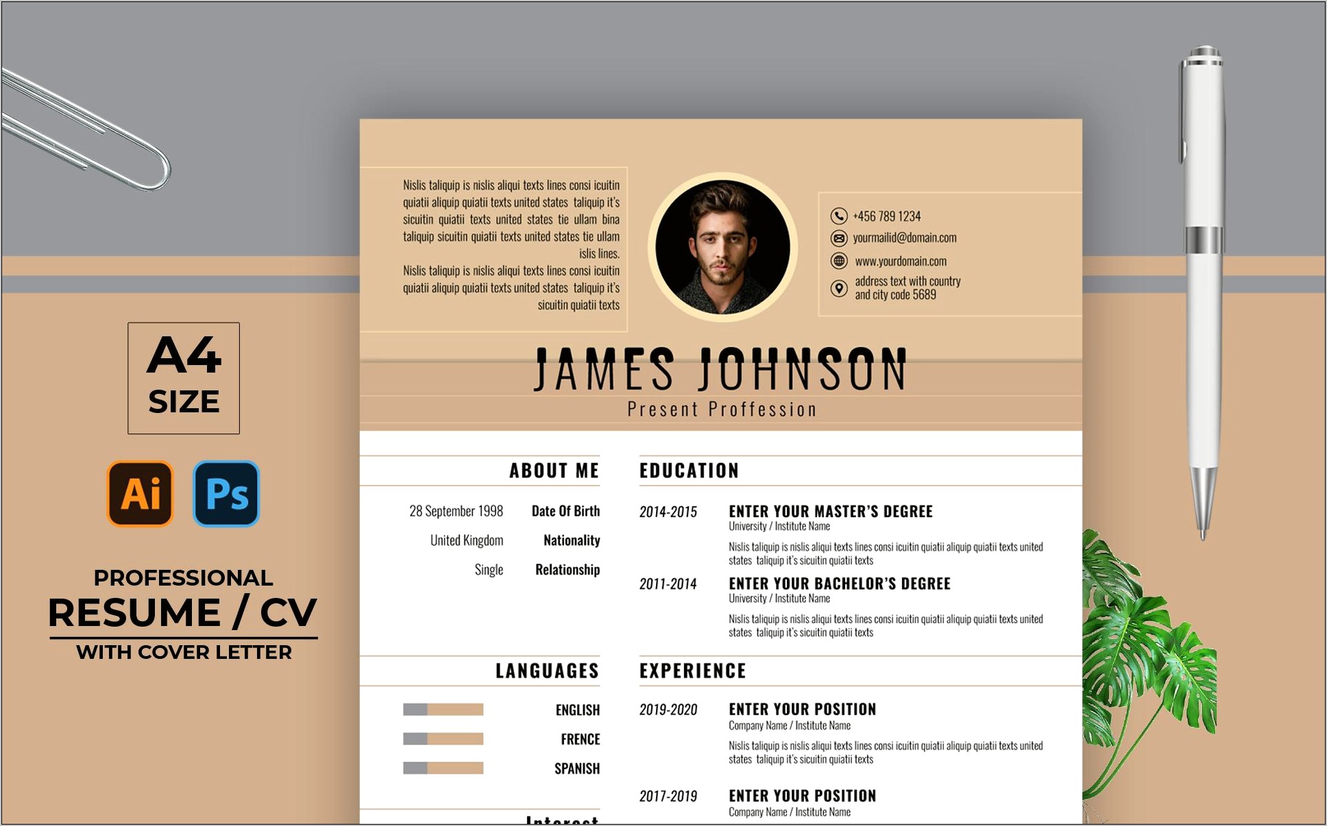 Professional Resume Template Free 2019