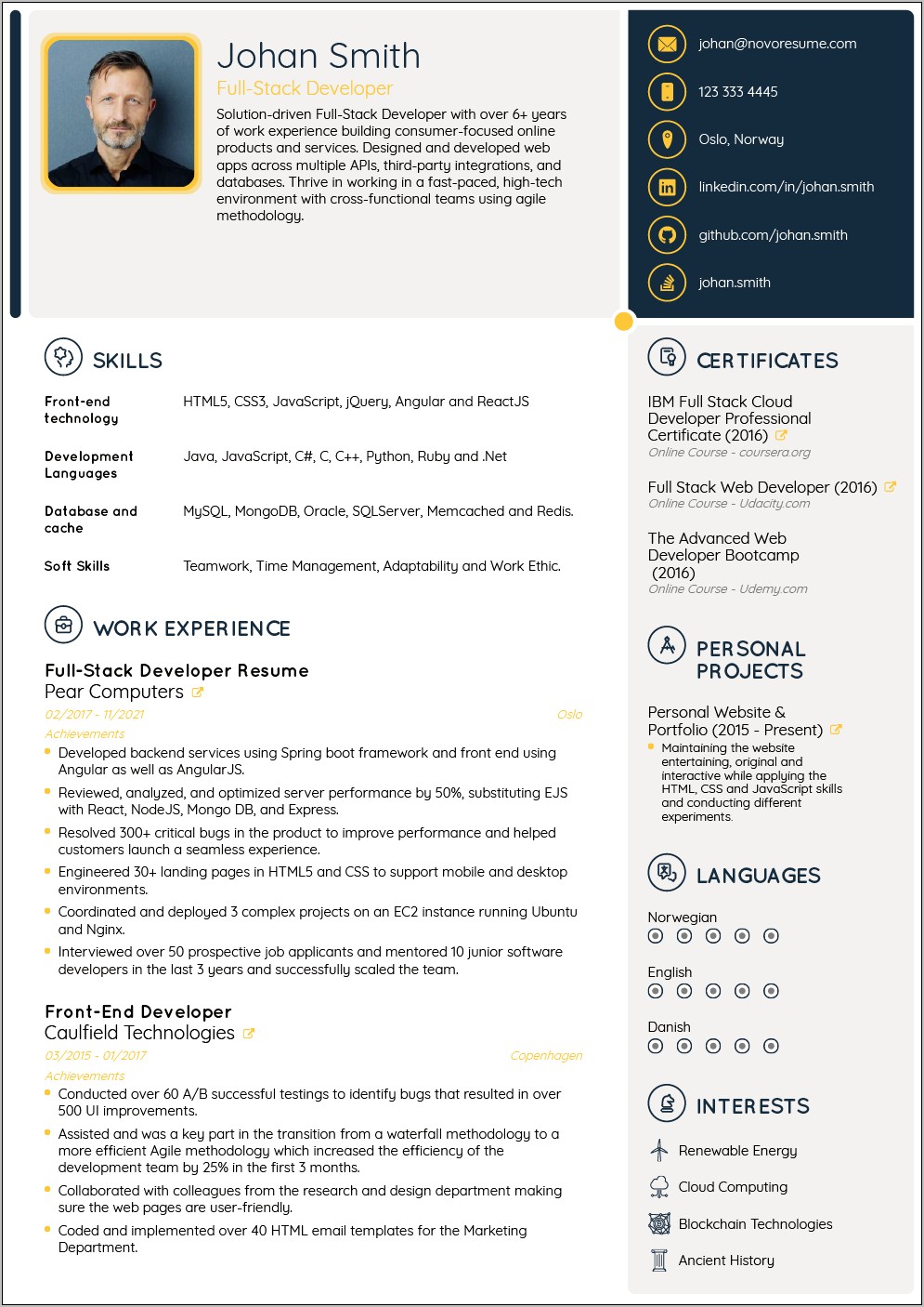 Professional Resume Template Free Online