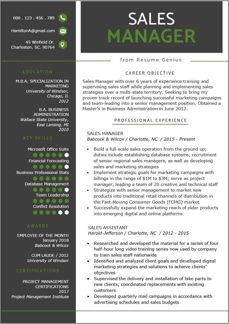 Professional Sales Manager Resume Examples