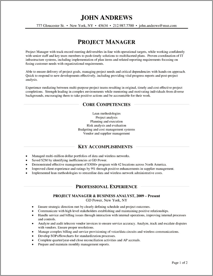 Project Management Resume Executive Summary